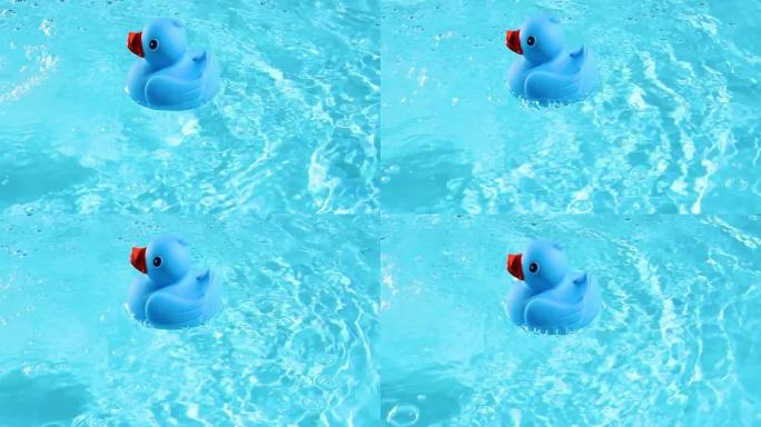 在夏日的灯光下，一只蓝色的橡皮鸭很容易漂浮在水池清澈的水面上