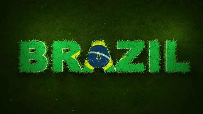 巴西国旗出现在长草上