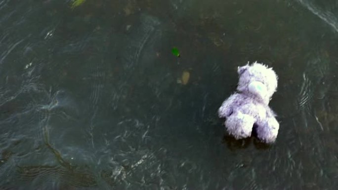 落水的孤独泰迪熊