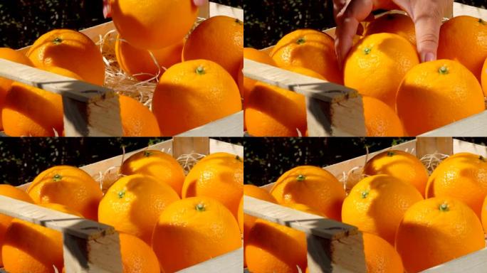 在木箱中手工折叠成熟多汁的橙色