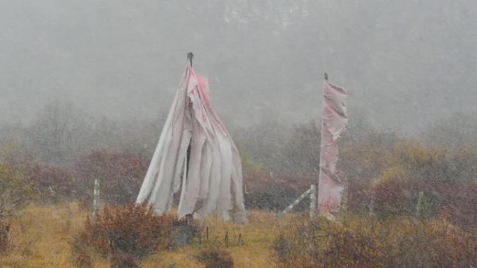 中国甘肃甘南冬季降雪时，佛教经幡在风中摇曳。在严酷的冬季暴风雪中疯狂地挥舞旗帜。