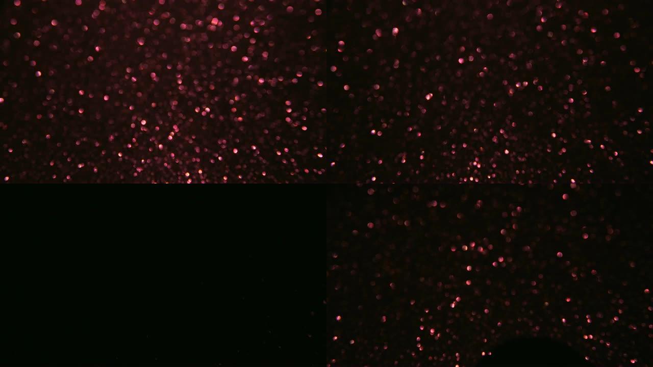 玫瑰莱拉紫色颗粒背景。粒子不同运动的闪光系列。版本1