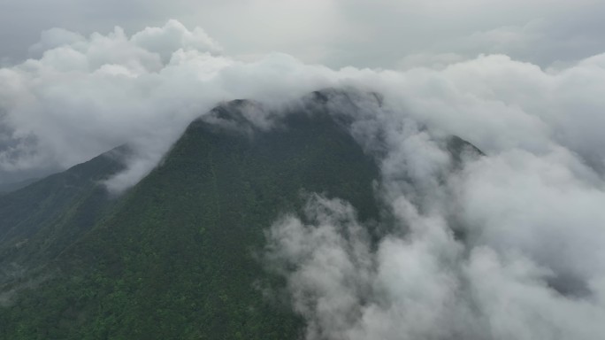 深圳梧桐山航拍云海