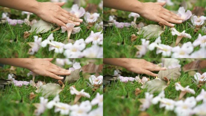 手触摸落在草地上的花朵