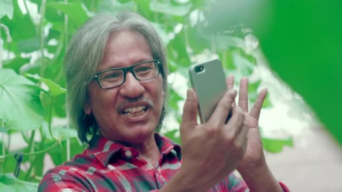 亚洲活跃的高级男子在他的农场里用手机在社交媒体上进行视频实时聊天，情绪激动