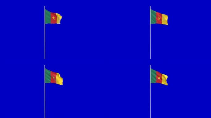 喀麦隆国旗升起