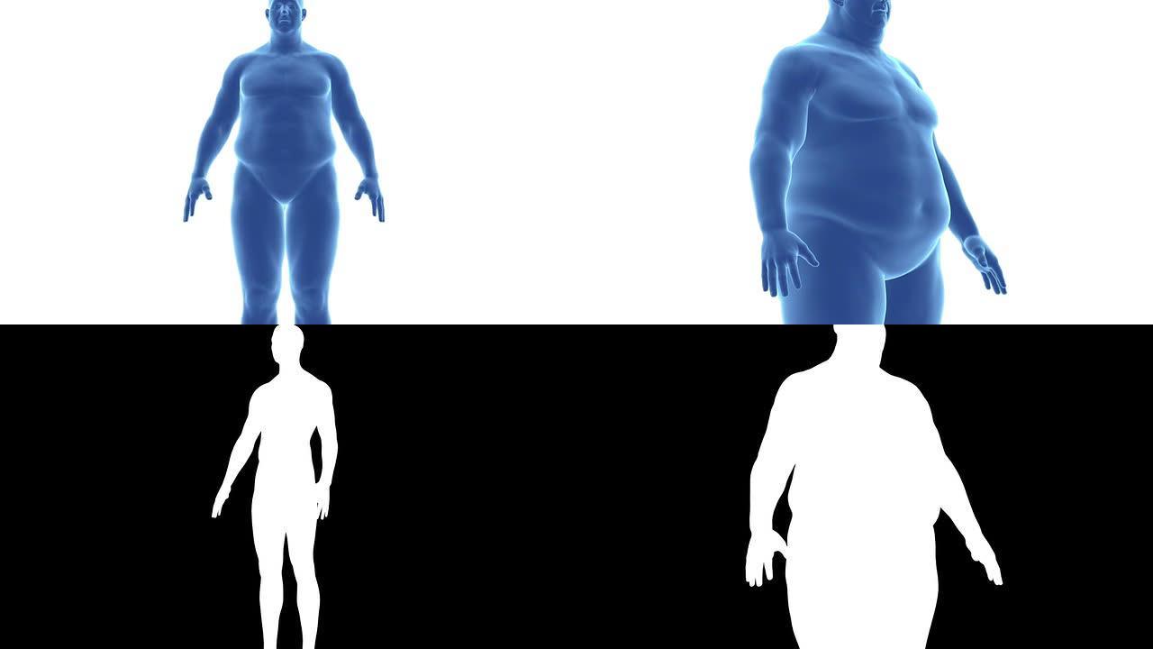 男人-alpha通道在时间流逝中从苗条到肥胖