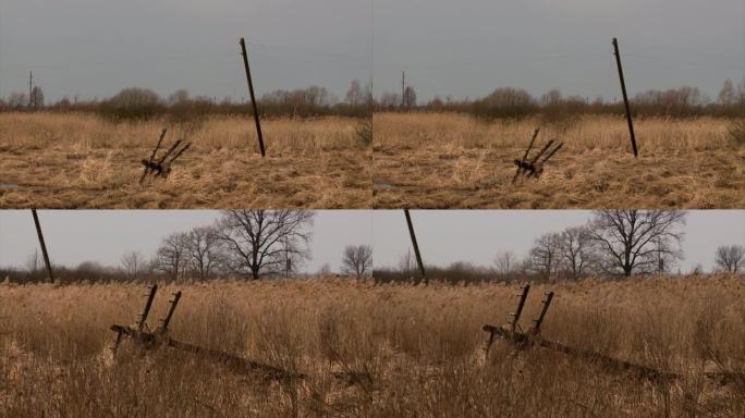 切尔诺贝利的废弃田地