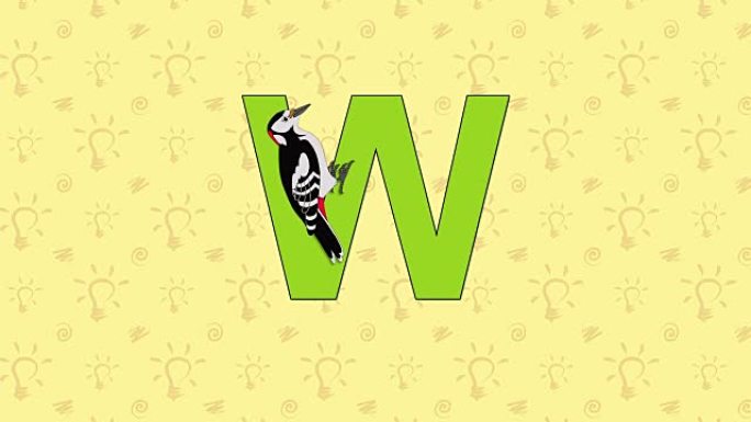 啄木鸟。英语动物园字母表-字母W