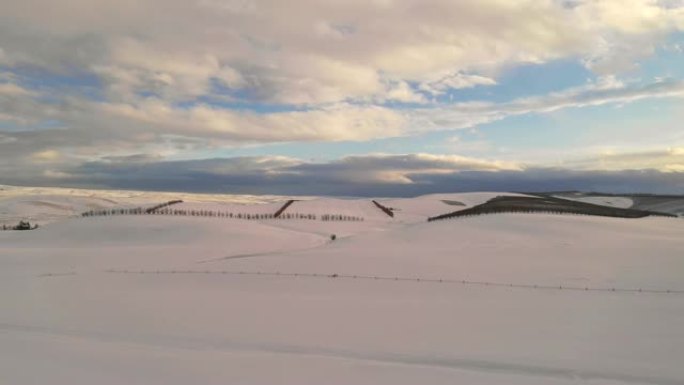 新鲜的白色冬季雪俄勒冈州农业用地