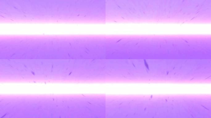 从框架的水平中心随机移动点。紫色抽象背景，带有文本的复制空间。