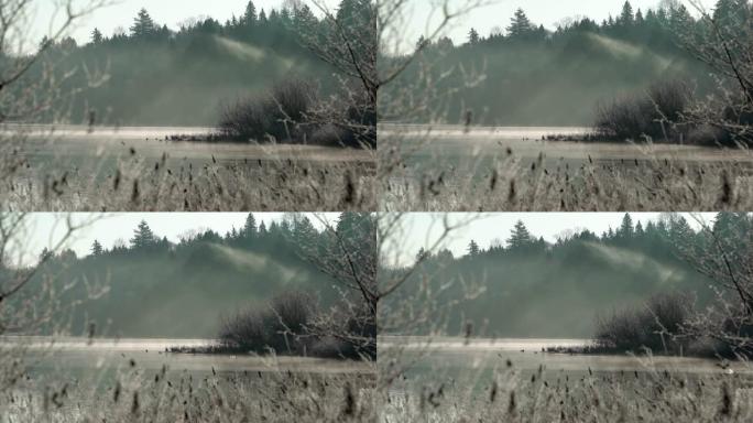 不列颠哥伦比亚省4K UHD的鹿湖雾。
