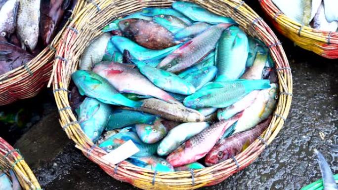 海鲜市场出售篮子上的新鲜彩色热带鱼