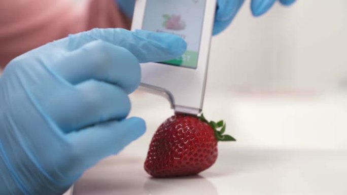 用测试仪测定草莓中的硝酸盐。超过硝酸盐的极限