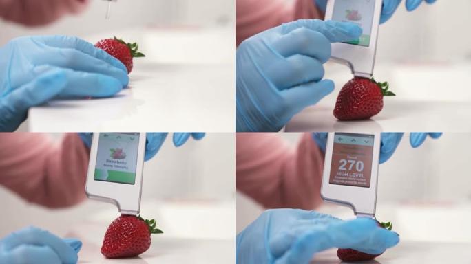 用测试仪测定草莓中的硝酸盐。超过硝酸盐的极限