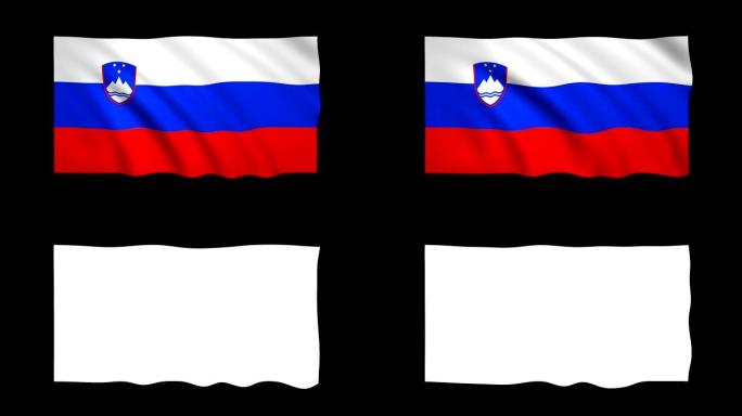 斯洛文尼亚旗可循环的哑光包括-股票视频