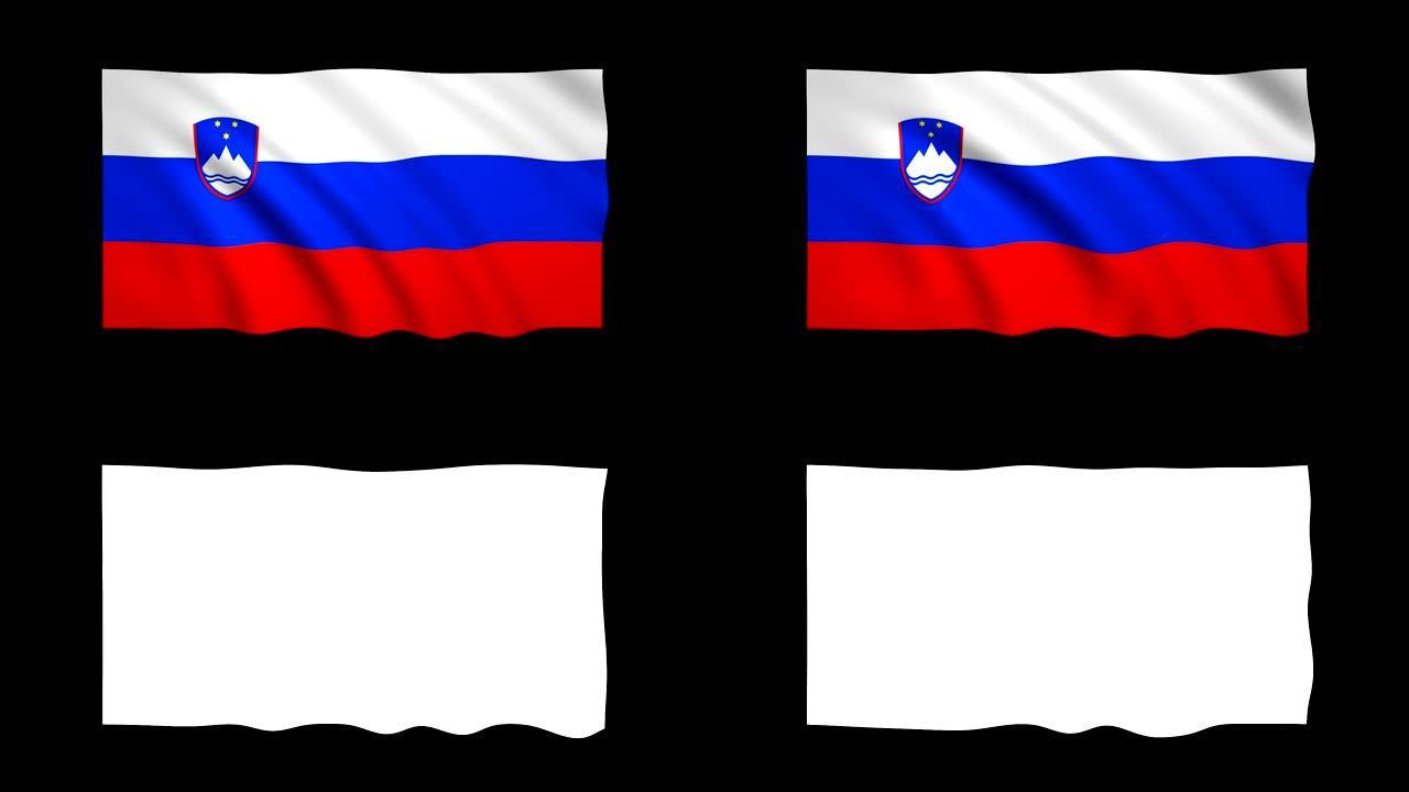 斯洛文尼亚旗可循环的哑光包括-股票视频