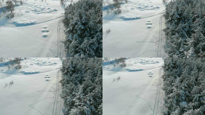 晴天冬季松林和雪路的鸟瞰图