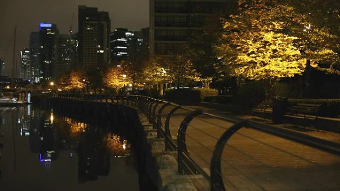 温哥华煤港海堤夜跑