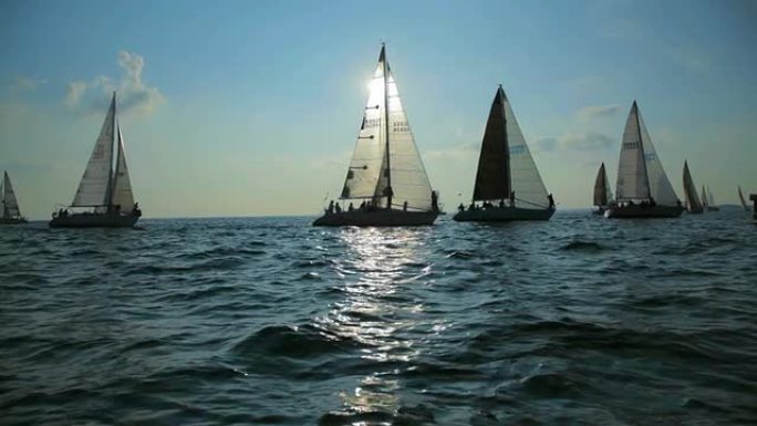 帆船比赛3-大湖帆船
