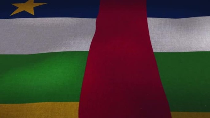 中非共和国国旗飘扬