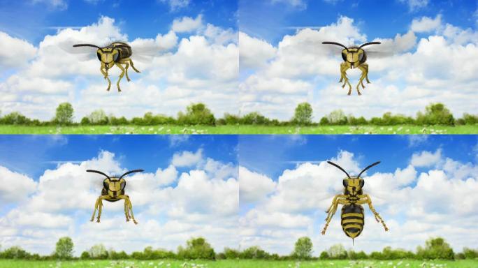 黄蜂攻击