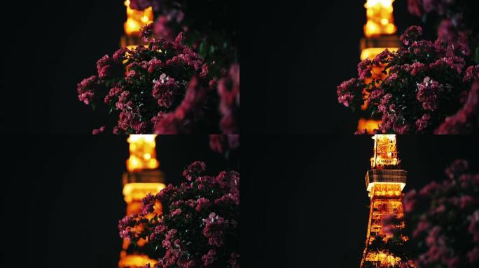 多莉 (Dolly) 揭露了东京铁塔的照片，前景是鲜花