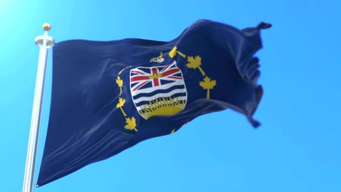 加拿大不列颠哥伦比亚省副总督的旗帜。循环