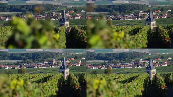 香槟葡萄园位于马恩省蒙塔涅德兰斯地区，靠近法国香槟阿登维尔-多姆曼吉，欧洲