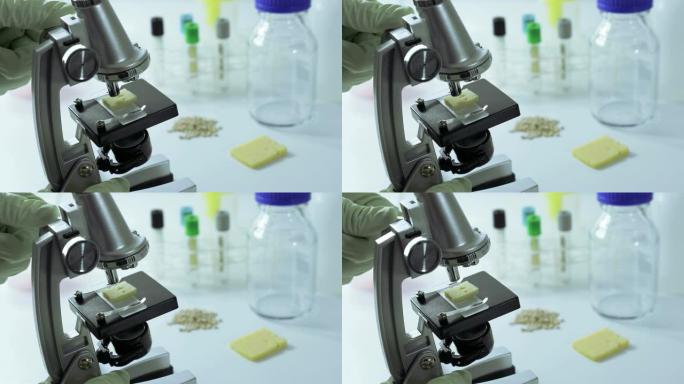 食品检验转基因概念-实验室用显微镜检验奶酪质量的科学家