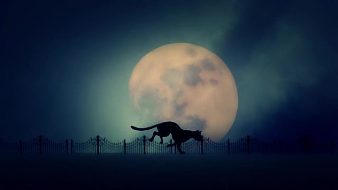 流浪猫在上升的满月背景下奔跑