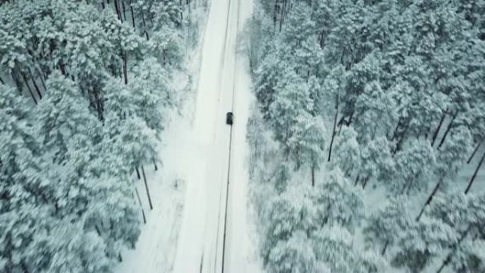 黑车行驶在松林雪乡路上，鸟瞰图