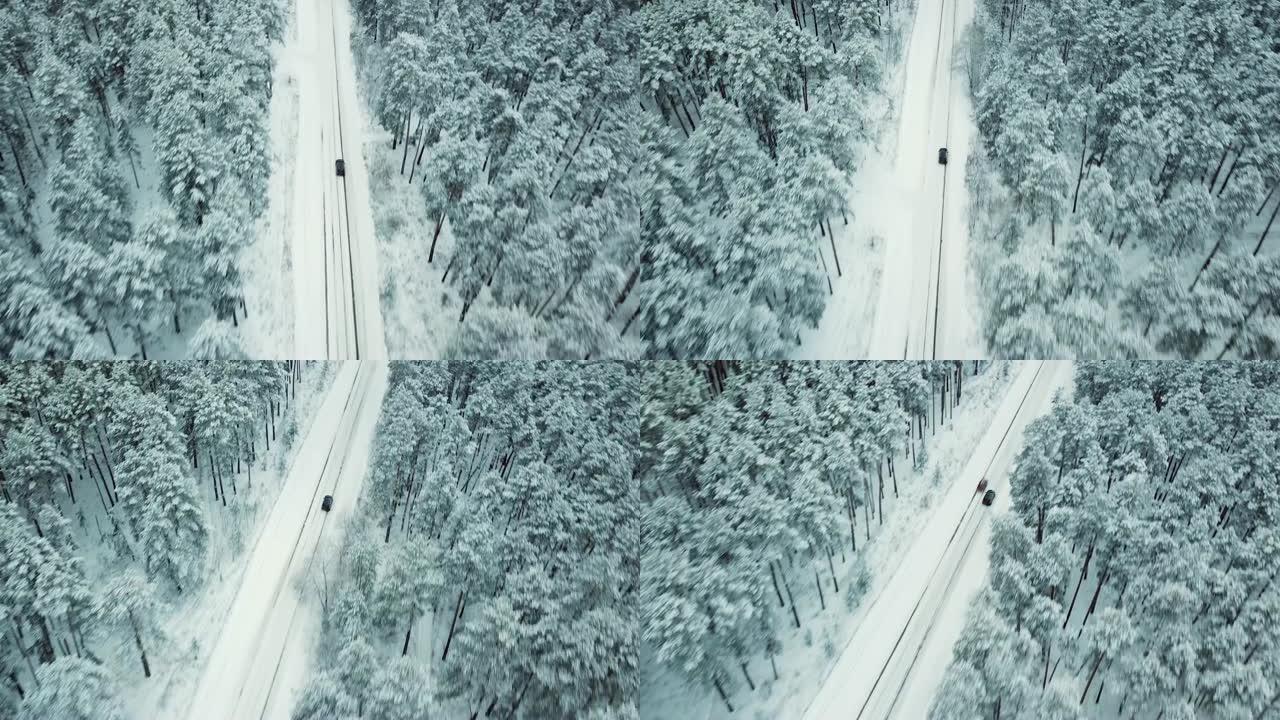 黑车行驶在松林雪乡路上，鸟瞰图