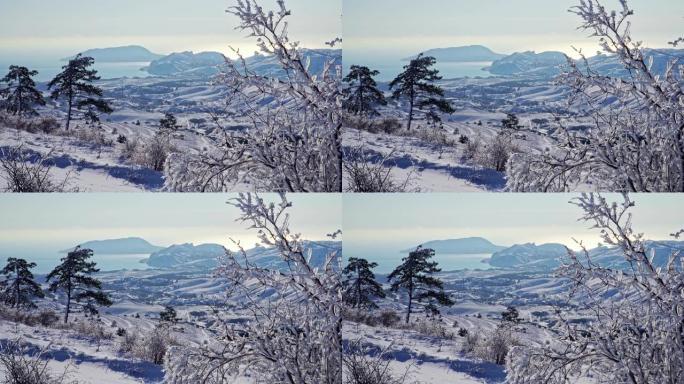 美丽的风景有雪树和雪山
