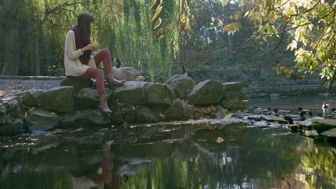 一个女孩坐在公园池塘旁的一些岩石上喂鹅