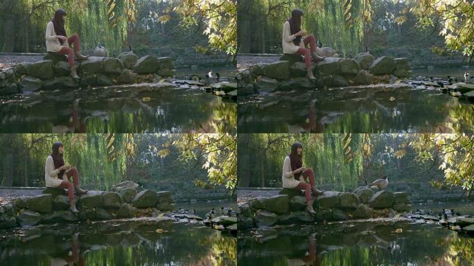 一个女孩坐在公园池塘旁的一些岩石上喂鹅