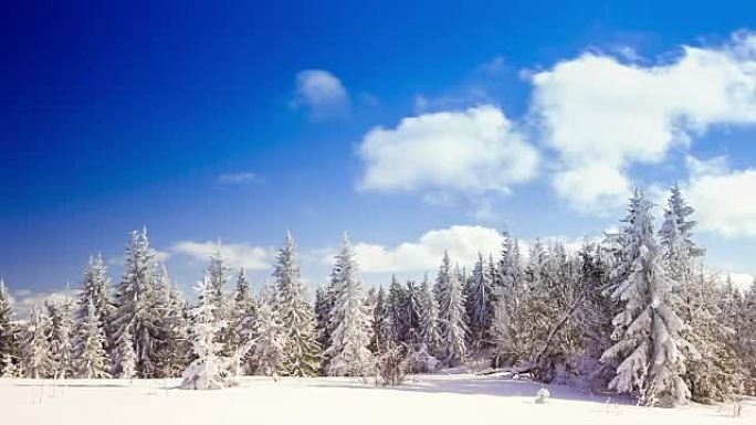 山区云杉高雪的冬季景观