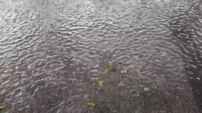 涟漪雨滴极端天气 雨滴雨景雨滴淅淅沥沥