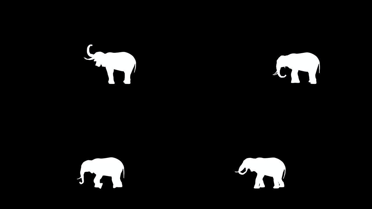 黑白背景上的3D大象动画。