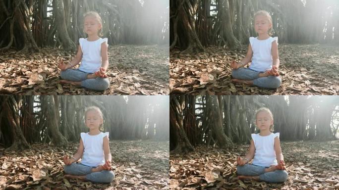 小女孩独自在榕树下冥想