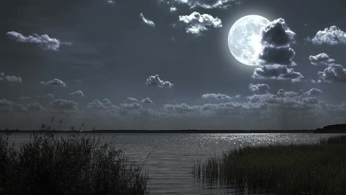 满月夜景观与森林湖。