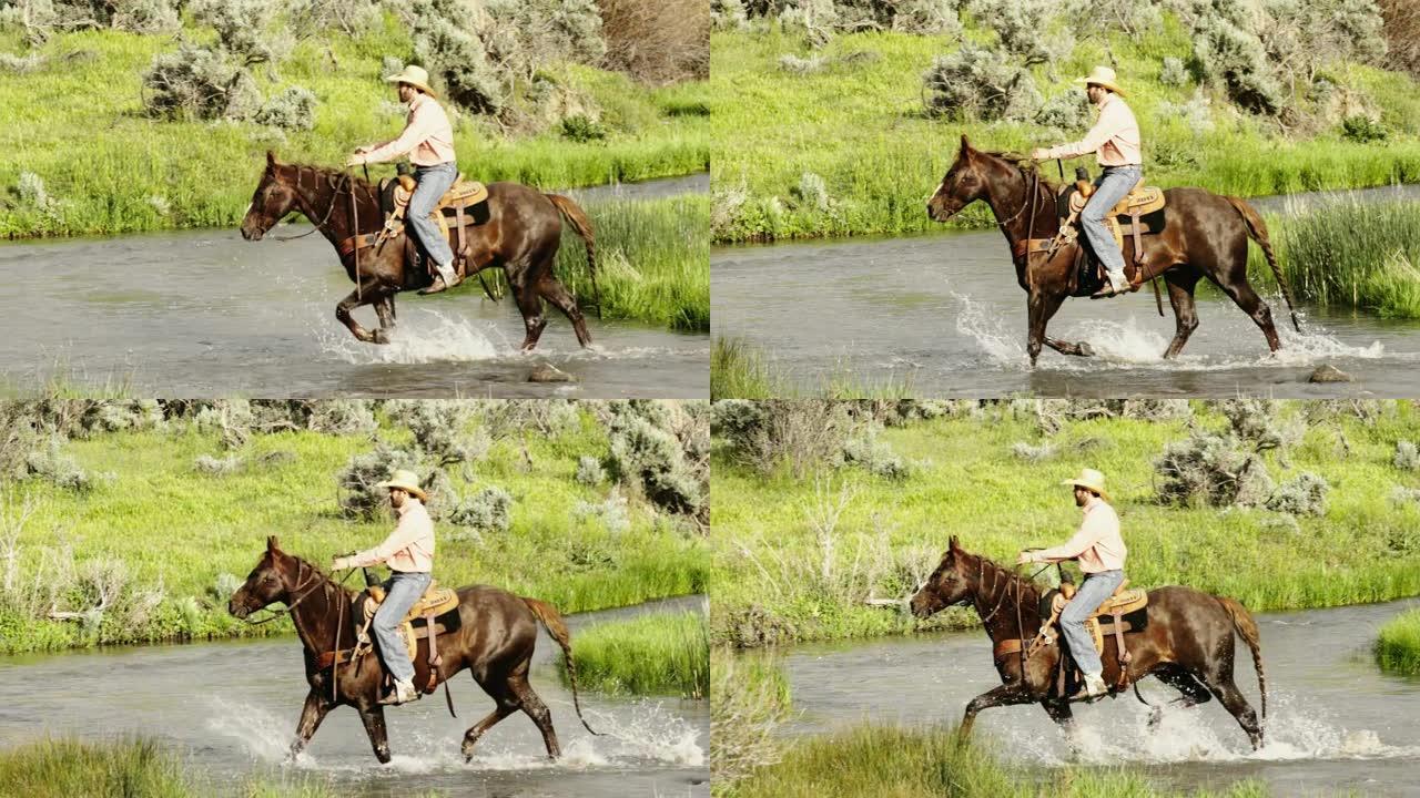 牛仔在马背上禁止溪流