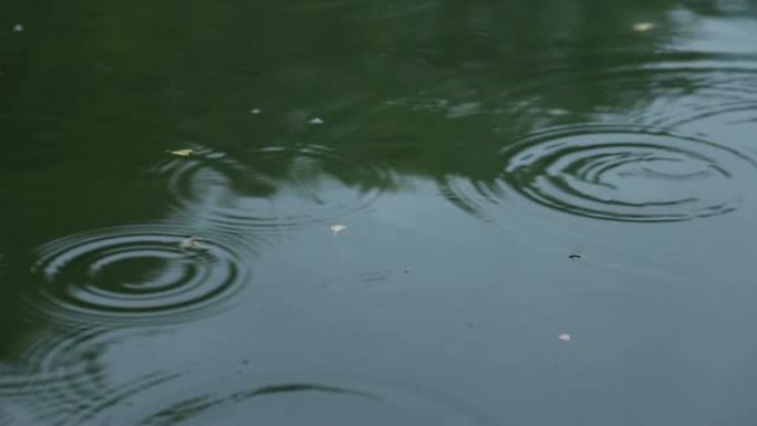 雨滴落入水中321