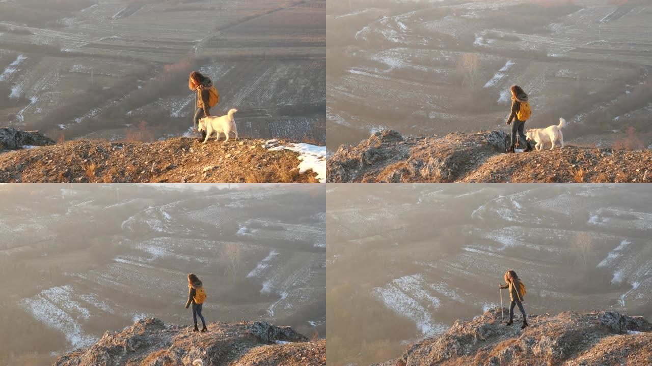 山顶上的女孩和狗