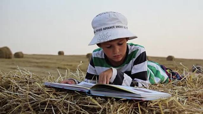 男孩在干草堆上看书，男孩在马槽里看书