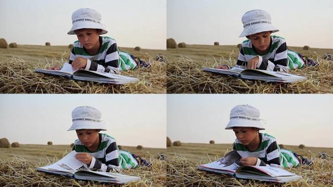 男孩在干草堆上看书，男孩在马槽里看书