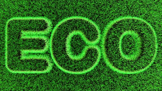 在新鲜的绿草上的生态文本的3D动画。