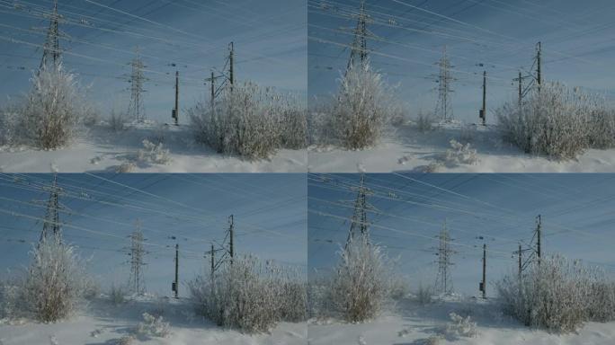 冬天的电线，美丽的冬天，树枝被雪和霜冻覆盖，白雪皑皑的俄罗斯草原，雪花落下，高压