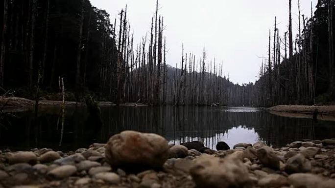 台湾的夸克和沉入湖中的枯树后出现了地震湖 (台湾2014年3月02日)