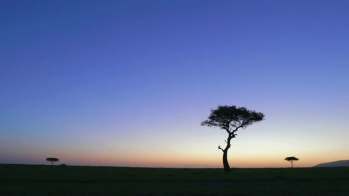 非洲肯尼亚马赛马拉国家公园黎明时的景观